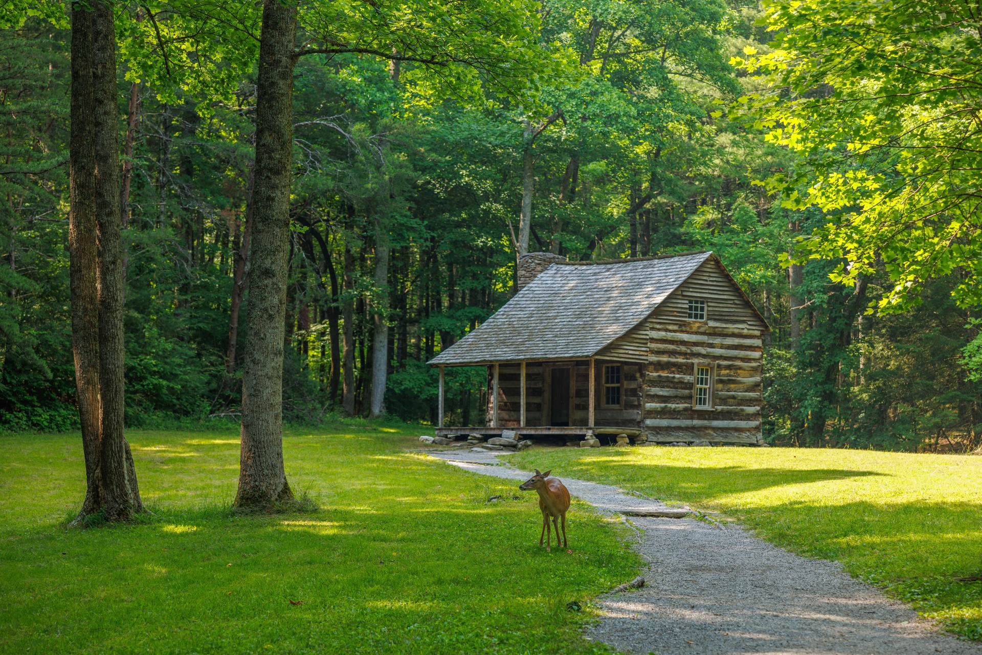 Log cabin in the mountains with deer